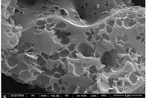 氮摻雜多孔結(jié)構(gòu)碳材料及其制備方法和應(yīng)用