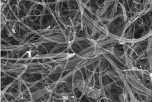高純度碳納米管的制備方法及用途