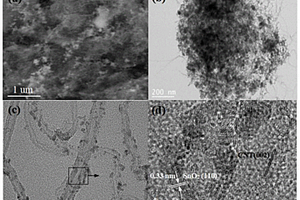 基于等離子體的二氧化錫/碳納米管復(fù)合材料的制備方法及其應(yīng)用