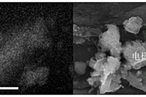 一體化復(fù)合電極材料及其制備方法與應(yīng)用