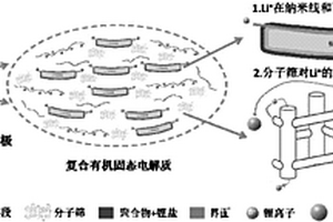 具有多重Li<sup>+</sup>傳導(dǎo)通路的復(fù)合有機(jī)固態(tài)電解質(zhì)及其制備方法