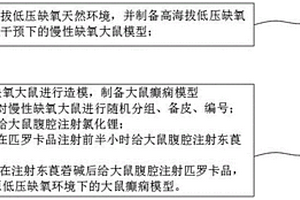 高原低壓缺氧環(huán)境下大鼠癲癇模型的建立方法