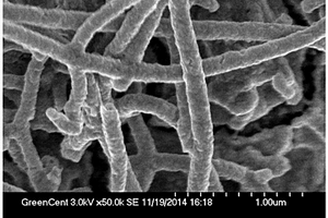 生物質(zhì)基二氧化錳-碳纖維復(fù)合材料及其制備方法