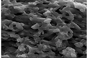 用作鉀離子電池負極的氮-鈷-氧三摻雜的網絡狀碳材料的制備方法