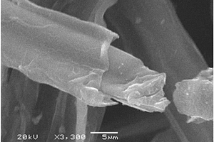 纖維素基炭纖維、制備方法及其用于制備電極材料的方法