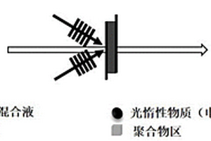 全息聚合物電解質(zhì)及其制備方法與應(yīng)用