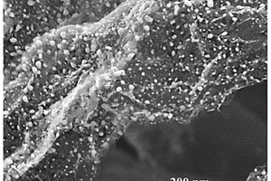 γ-Fe<sub>2</sub>O<sub>3</sub>刻蝕的多孔石墨烯復(fù)合材料制備方法及應(yīng)用