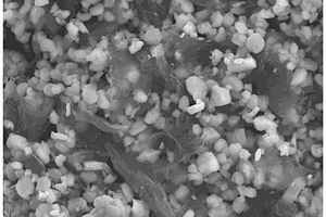 石墨烯/TiO<Sub>2</Sub>復(fù)合正極的制備方法