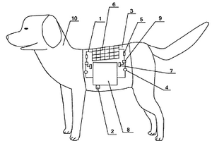 有機(jī)發(fā)光顯示器應(yīng)用在狗衣服上的廣告裝置