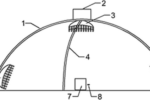 電動(dòng)梳發(fā)器