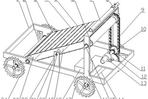 半自動(dòng)太子參精密播種機(jī)