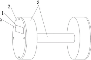 帶計(jì)數(shù)檢測(cè)裝置的啞鈴