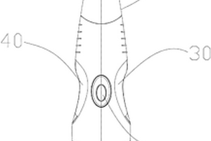 便攜式生物活性物質(zhì)導(dǎo)入儀