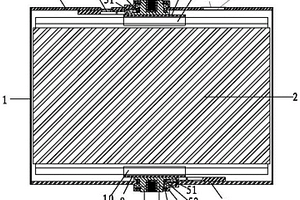 雙向極柱的動力電池