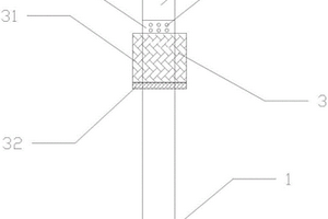 鋁轉鎳極耳及電芯