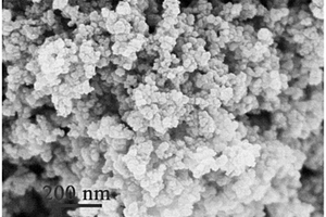 Mo<sub>2</sub>C/C納米復合材料及其制備方法和包含該材料的鋰二氧化碳電池正極及其制備方法