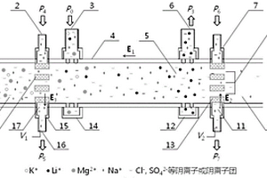 基于離子濃差極化效應(yīng)的鹽湖提鋰裝置