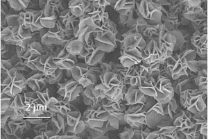 納米花狀氧化鉬鋰離子電池負(fù)極材料及其制備方法