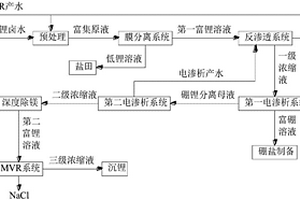 鹽湖含鋰鹵水中富集分離硼的方法