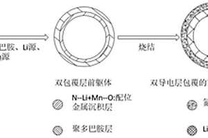 雙導(dǎo)電層包覆的富鋰錳基正極材料及其制備方法和應(yīng)用