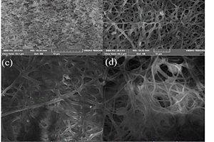 基于PSA/SiO<sub>2</sub>/PI隔膜的鋰/亞硫酰氯電池