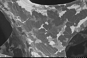 基于泡沫鎳生長的石墨烯為負(fù)極的鋰離子電池制作方法