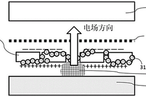 用于鋰金屬電池的隔膜及其制備方法