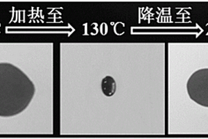 具有熱開關(guān)功能的鋰電池隔膜及其制備方法