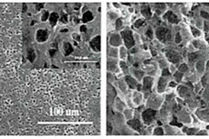 蜂窩狀高孔隙、大孔徑鋰電池隔膜及其制備方法