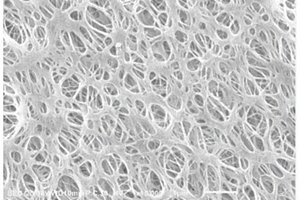 鋰離子二次電池隔膜控制孔徑的生產(chǎn)方法