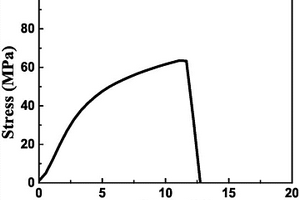 天然高分子聚合物保護的鋰金屬負極材料及其制備方法和應(yīng)用