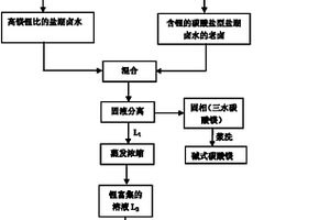 從鹽湖鹵水中提取鋰、鎂的方法