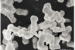 鋰離子電極復(fù)合納米材料及其制備方法