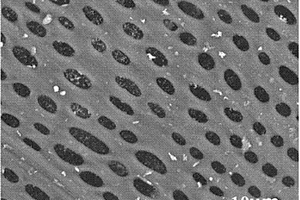 網(wǎng)狀介孔硬碳材料、制備方法及其在鋰離子電池中的應(yīng)用