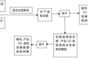 用于液體鋰資源提取的碳基吸附劑顆粒、制備方法及制備裝置