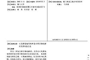 可充鋰電池用納米復(fù)合聚合物電解質(zhì)及其制備方法