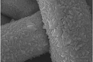 全固態(tài)薄膜鋰離子電池3D薄膜負極及其制備方法