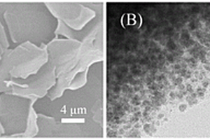 催化型SnO<sub>2</sub>-Fe-C鋰離子電池負(fù)極材料及其制備方法和應(yīng)用