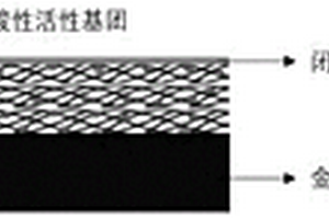 原位構(gòu)建多功能仿生膜的金屬鋰負(fù)極及其制備方法