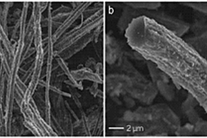 鋰離子電池用生物質炭纖維負極材料及其制備方法和應用