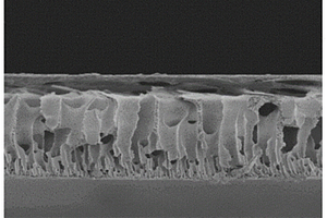 多孔聚酰亞胺薄膜及其制備方法、鋰離子電池