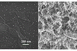 三維自支撐硫/石墨烯正極材料制備方法及鋰硫電池正極