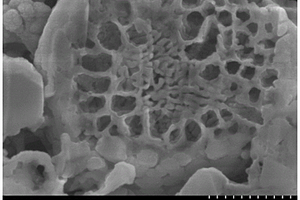 高振實(shí)密度多孔硅碳復(fù)合材料及其制備方法和鋰離子電池負(fù)極應(yīng)用
