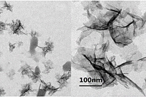 鋰電池用三維網(wǎng)絡(luò)石墨烯及其制備方法