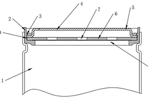 針式及柱式微型可充電鋰電池蓋帽結(jié)構(gòu)組件