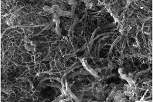 碳納米管導(dǎo)電漿料及其制備方法和鋰離子電池