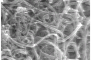 S-CNTs@MnO<sub>2</sub>鋰硫電池正極材料的制備方法