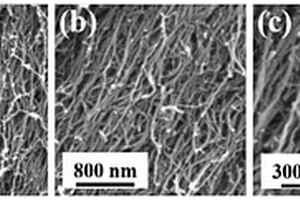 精準(zhǔn)氟化碳納米管陣列的制備方法及鋰原電池應(yīng)用