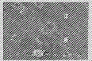 鋰離子二次電池正極片集流體的涂布方法