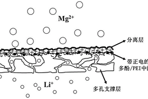 含多酚/PEI中間層的高鎂鋰選擇性納濾膜及制備方法